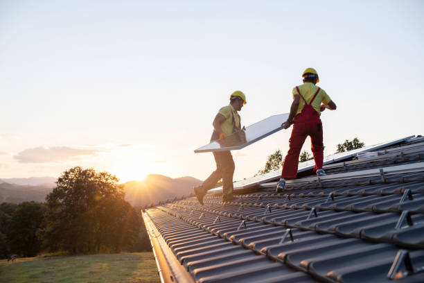 Best Roof Maintenance and Cleaning  in Han, GA