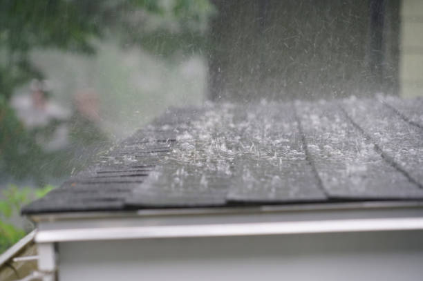 Professional Roofing Services in Hagan, GA