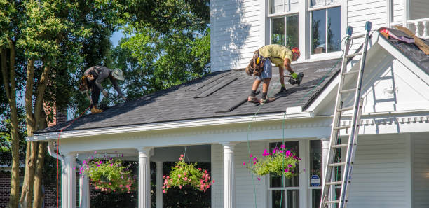Best Gutter Installation and Repair  in Han, GA